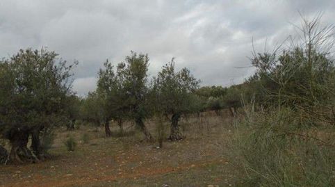 Parcela en venta en Quer., immagine 4