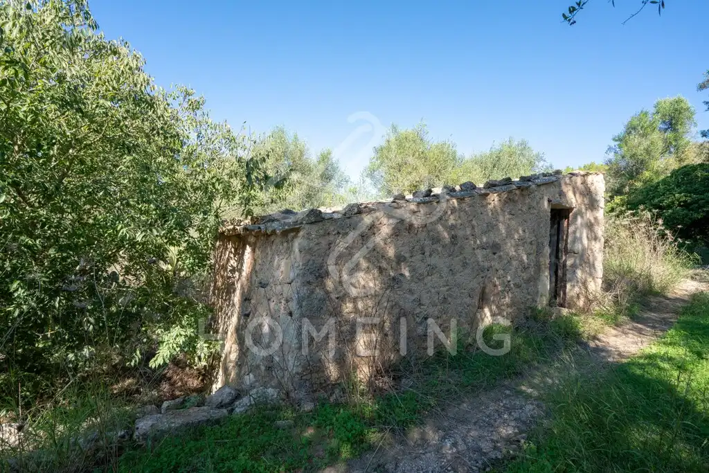 Country house with garden for sale in Costitx, imagen 29