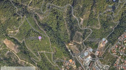 Terreno agrícola de 30.000m con pinar maderable en Cabrils, junto al pueblo, immagine 2