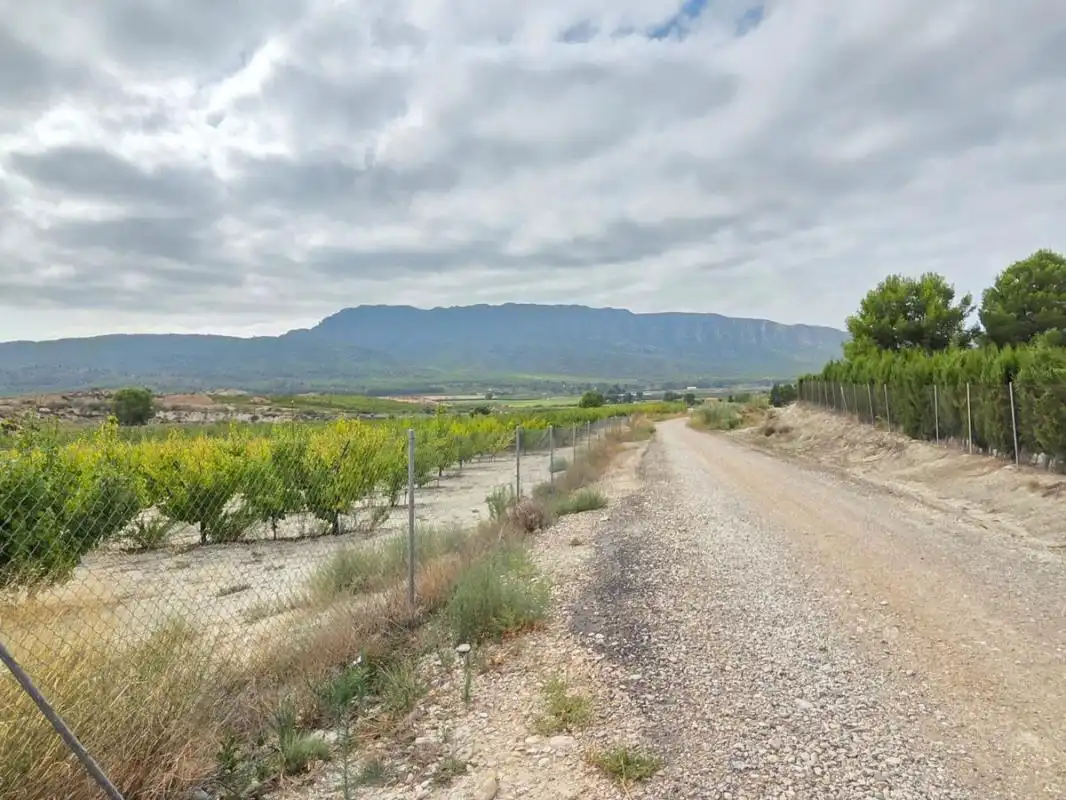 Residential land for sale in RM-714, imagen 10
