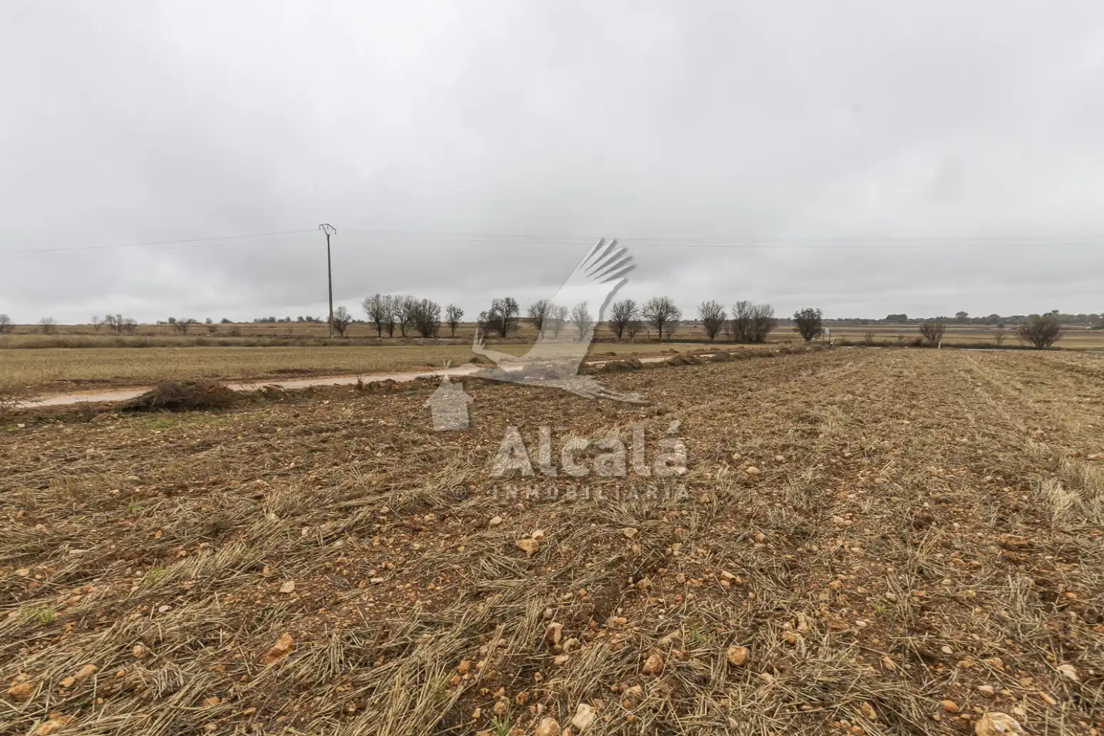 Rural land for sale in Pezuela de las Torres, imagen 22
