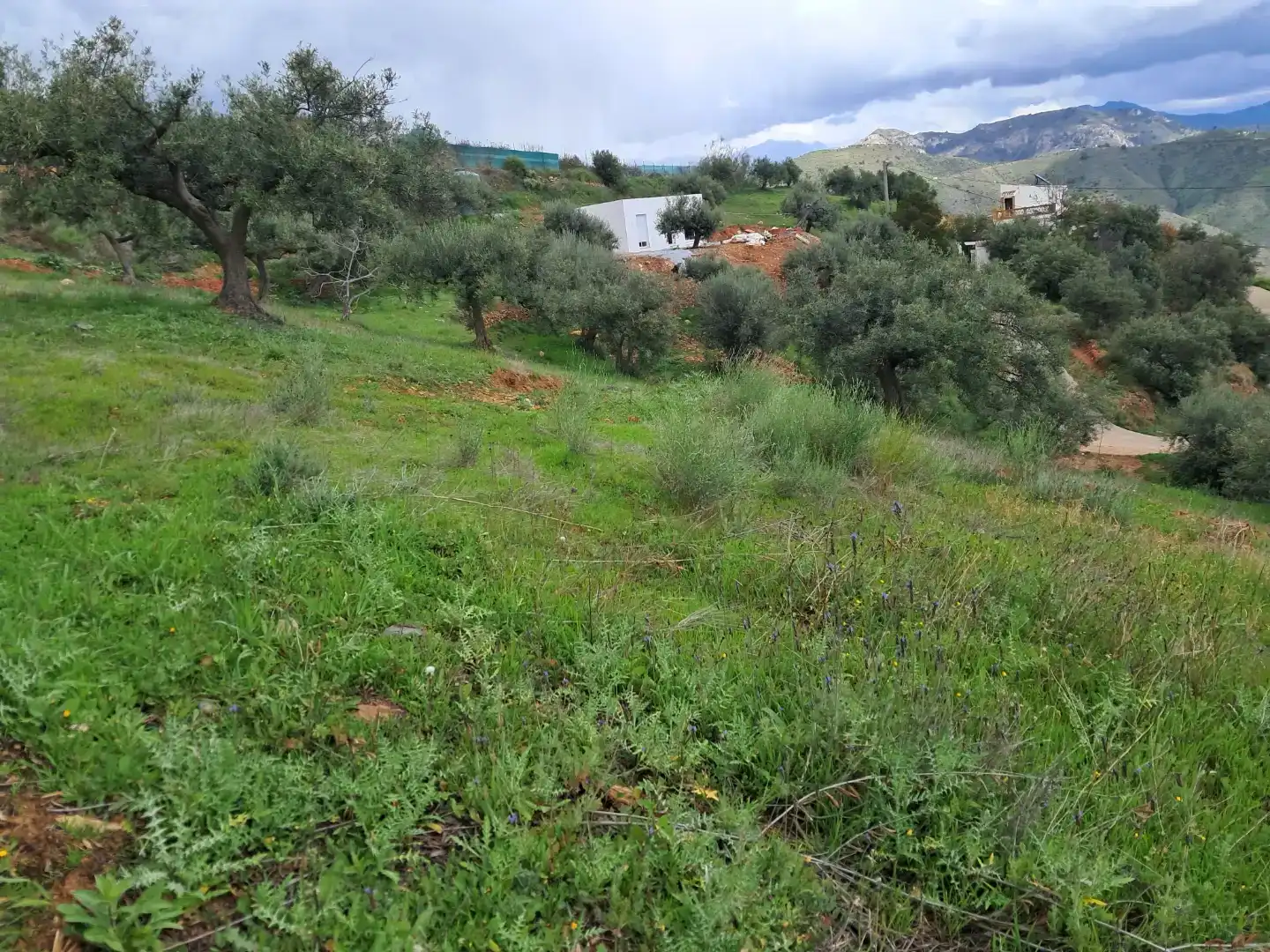 Finca rústica en venda en Almuñécar amb Traster, Moblat i Forn