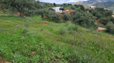 Foto 2 de Finca rústica en venda a Diseminado el Cerval Pol 15, 34b, El Rescate - Río Seco, Almuñécar