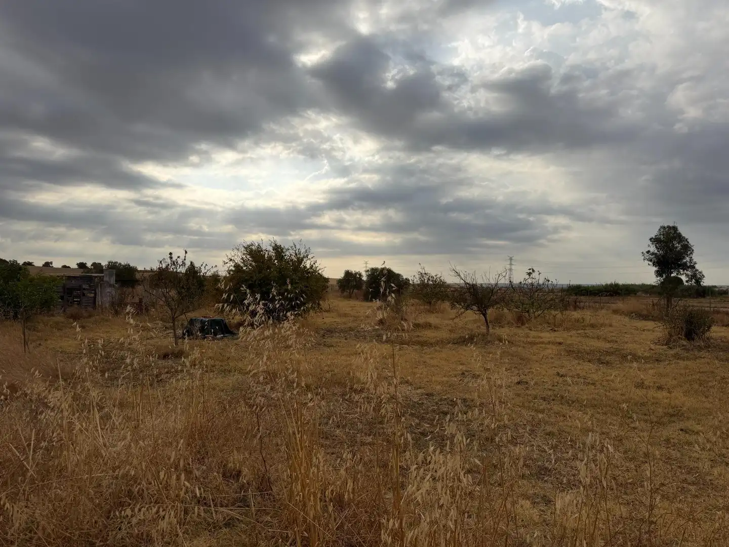 Country homes for sale in Trigueros, Huelva
