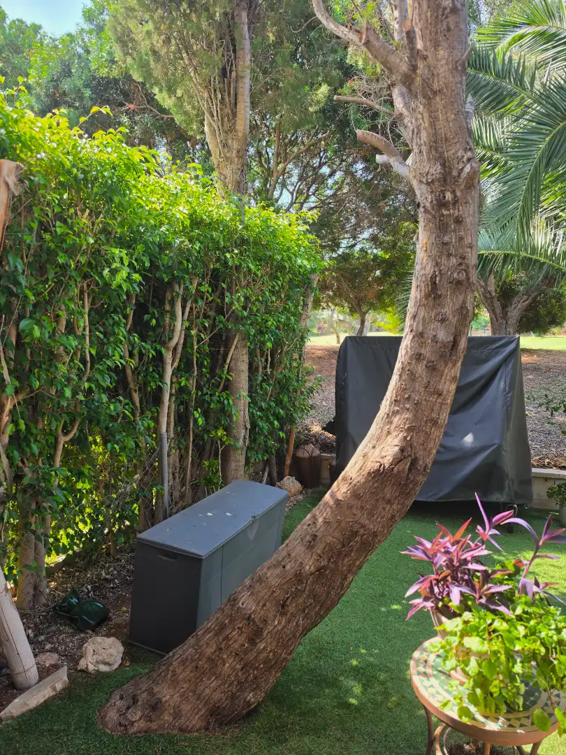Jardí de Planta baixa en venda en Alicante / Alacant amb Aire condicionat, Calefacció i Jardí privat