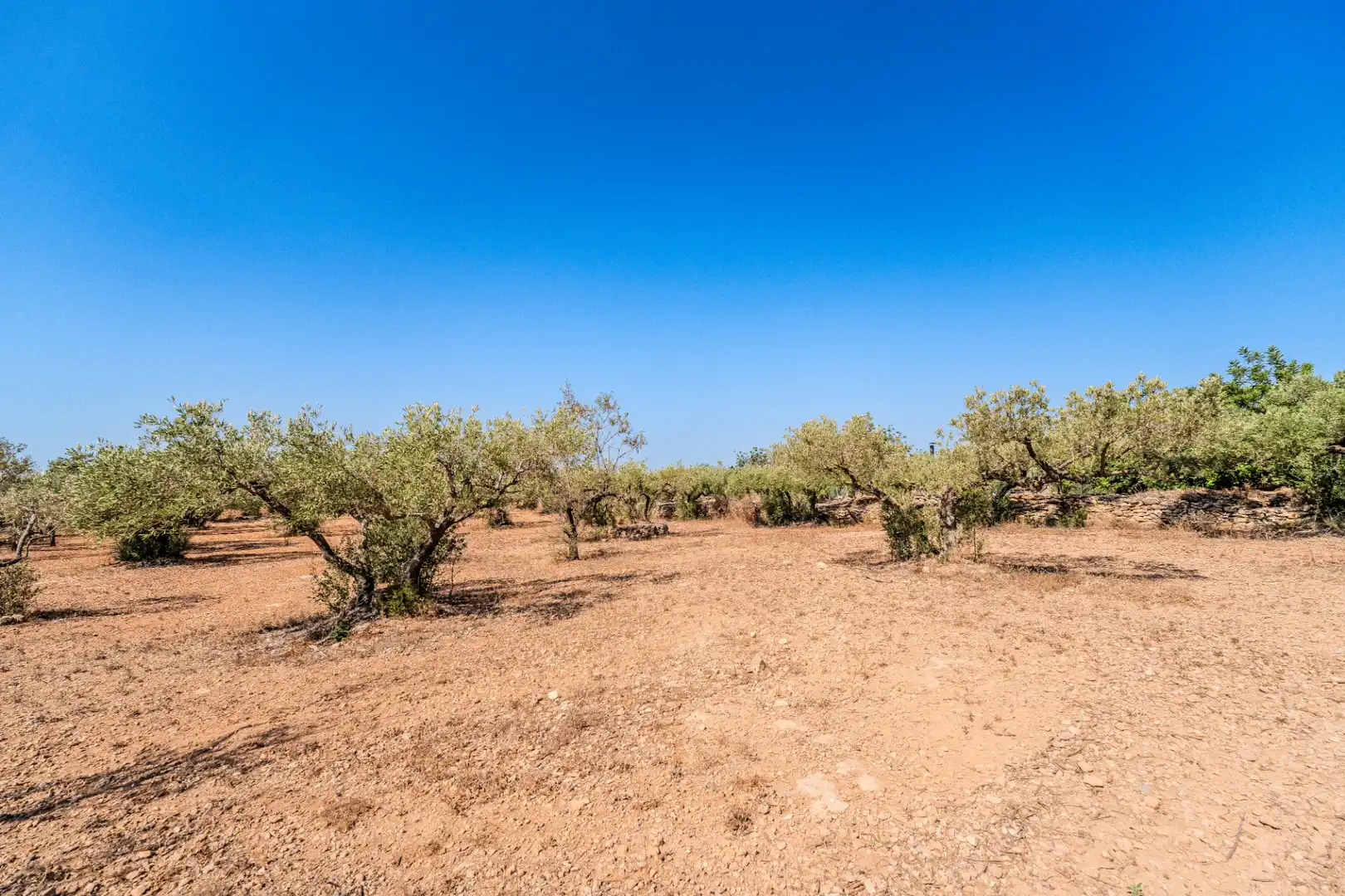 Houses for sale in L'Ampolla  with Private garden, Terrace and Storage room