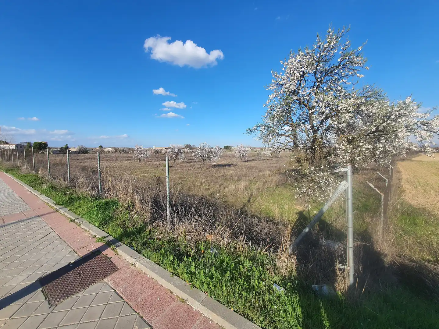 Terreno en venta en Ciempozuelos