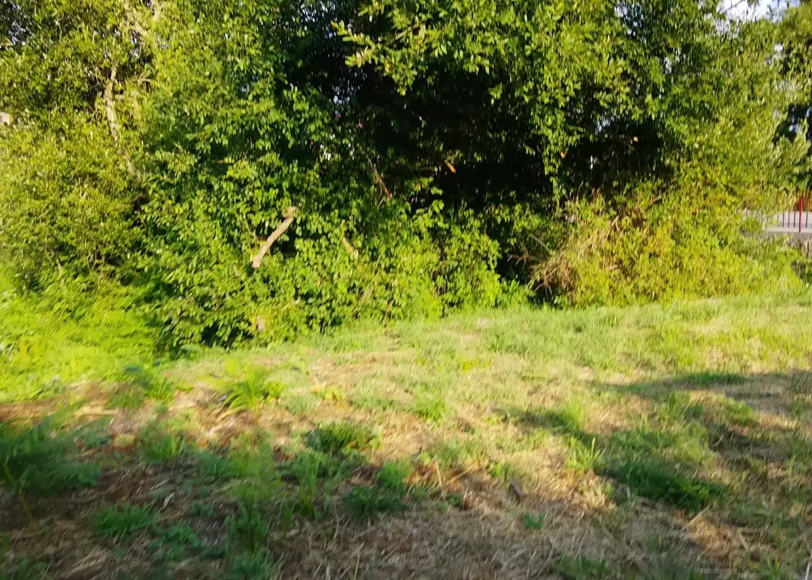 Terreno en venta en Camiño de Esqueiriños, San Xoán de Poio