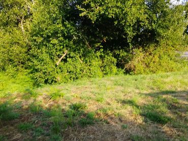 Rural land for sale in Camiño de Esqueiriños