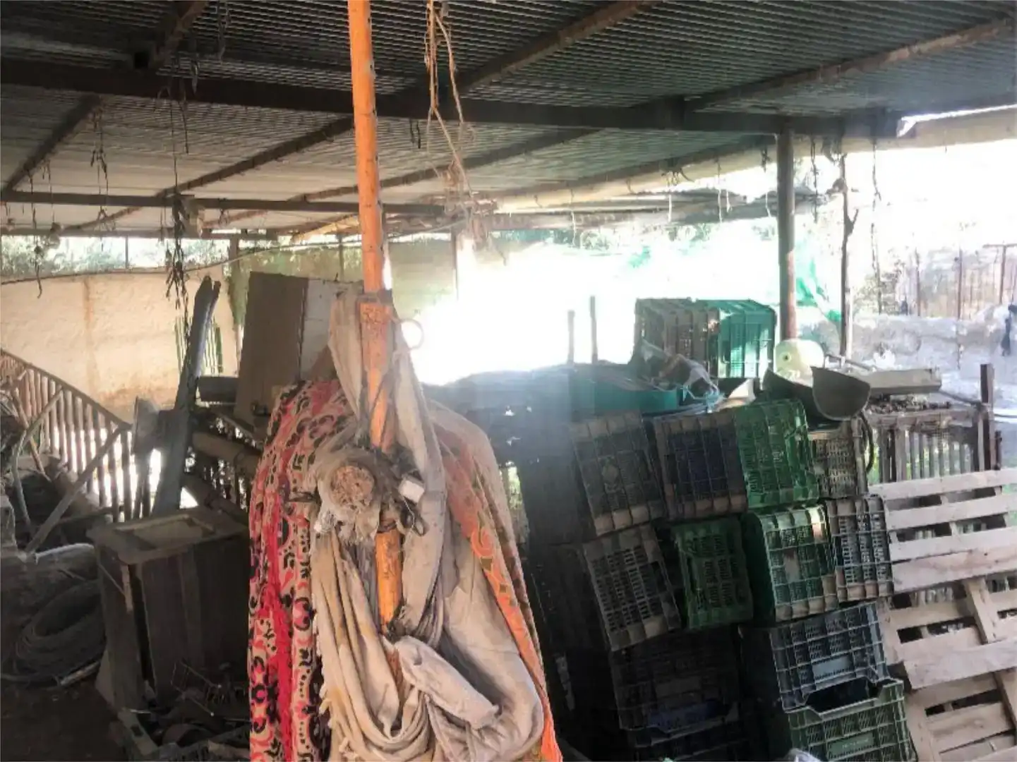 Finca rústica en venda en Benalúa
