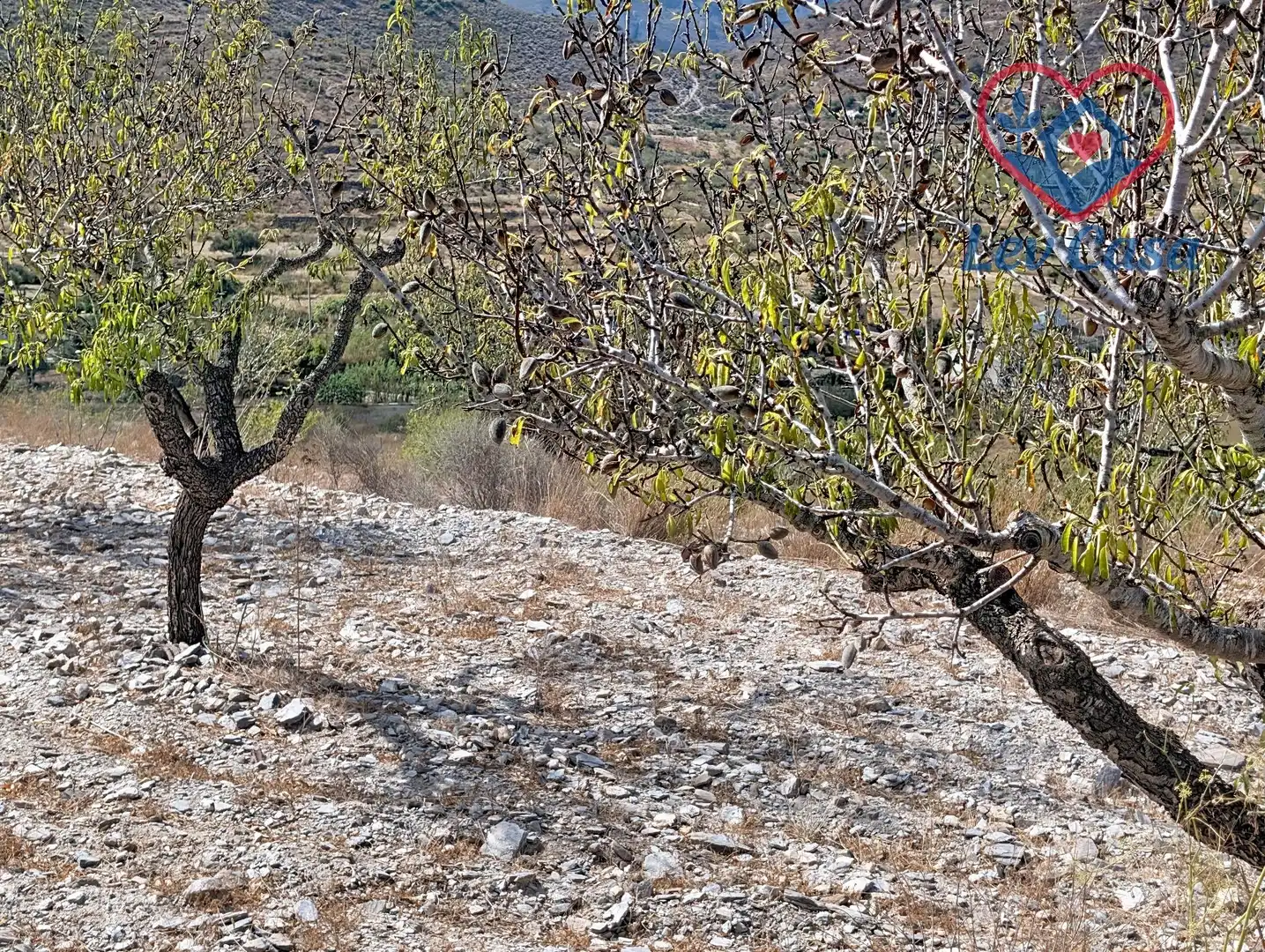Terreno rustico in vendita a Playa del Galán, imagen 22