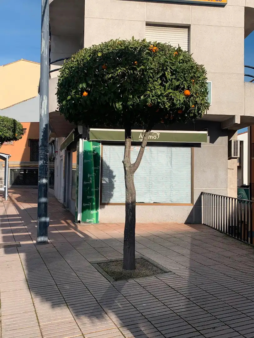 Gewerbefläche zur Miete in Miralvalle - Av. Virgen del Puerto - La Data, imagen 3