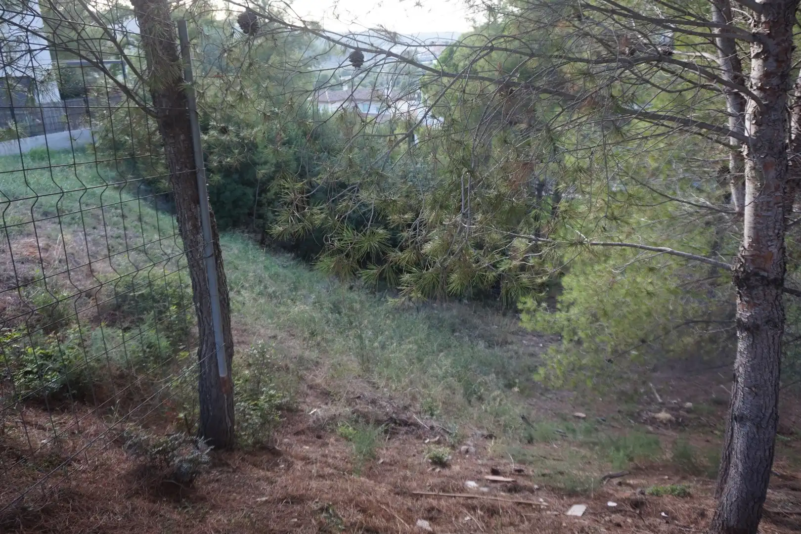 Terrenys i solars en venda a de l'Alzina, imagen 7