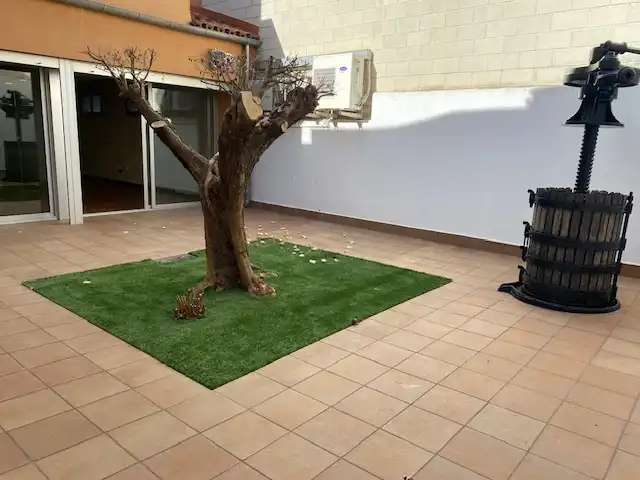 Local comercial de lloguer a Carrer de Baix, imagen 5