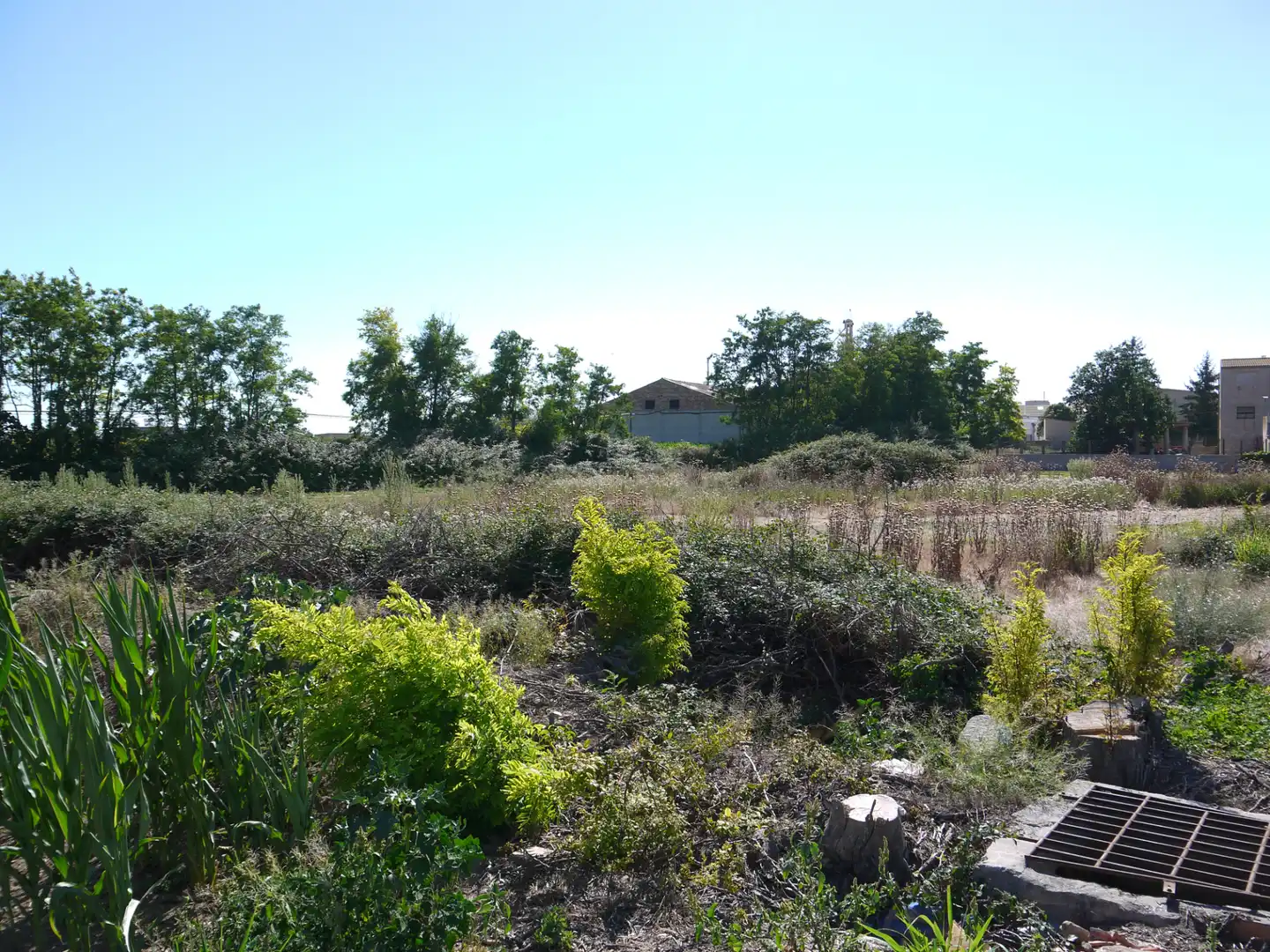 Terreno industrial en venta en La Fuliola