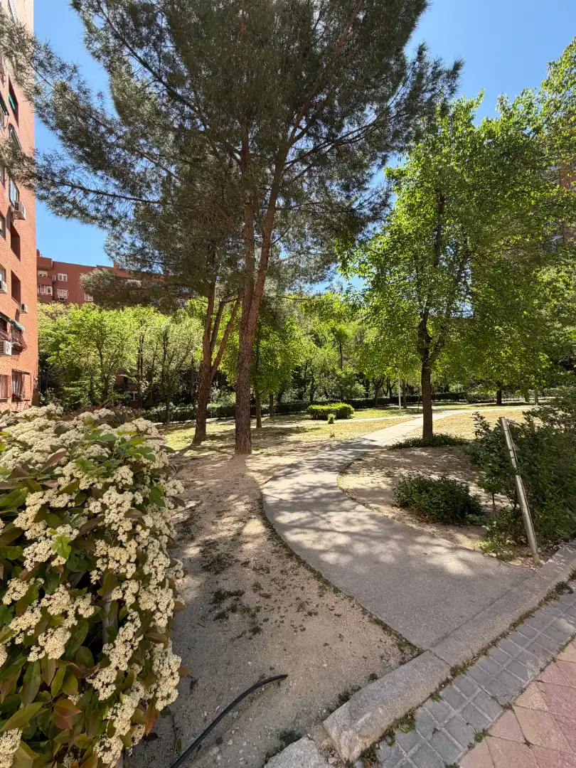 Gewerbefläche zum Verkauf in Calle de Luis de Hoyos Sainz, imagen 29