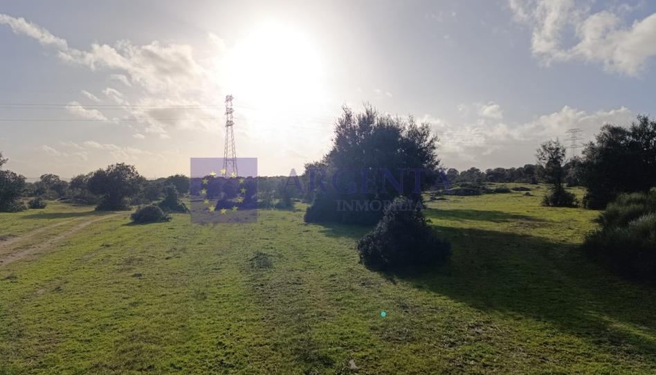 Foto 1 de Casa o xalet en venda a Ruta de la Plata, Cáceres