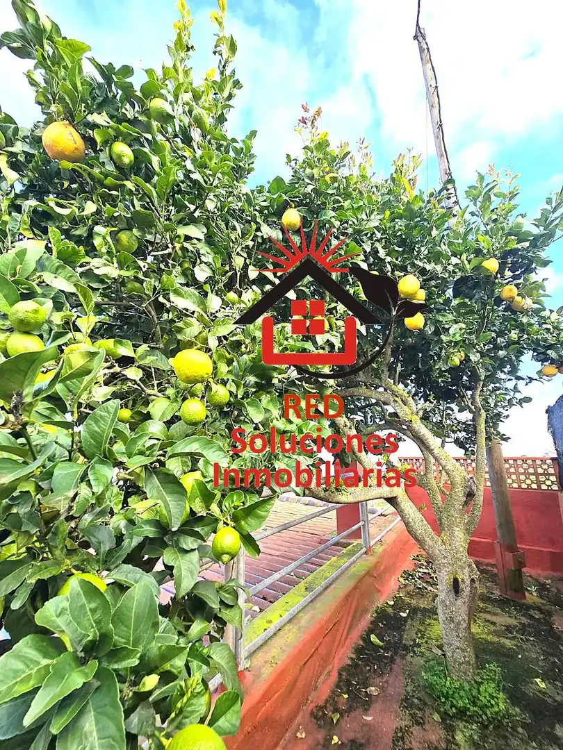 House with garden for sale in LOMO BERMEJO, imagen 30