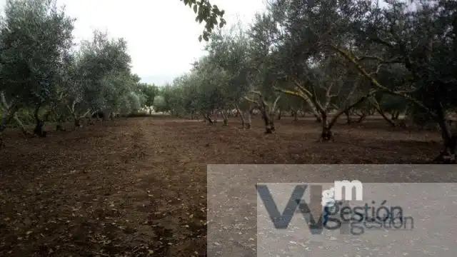 Casa rústica en venda a Villamartín, imagen 7
