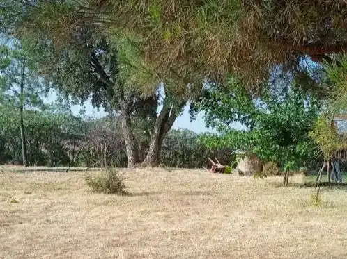 Finca rústica en venda en Lepe