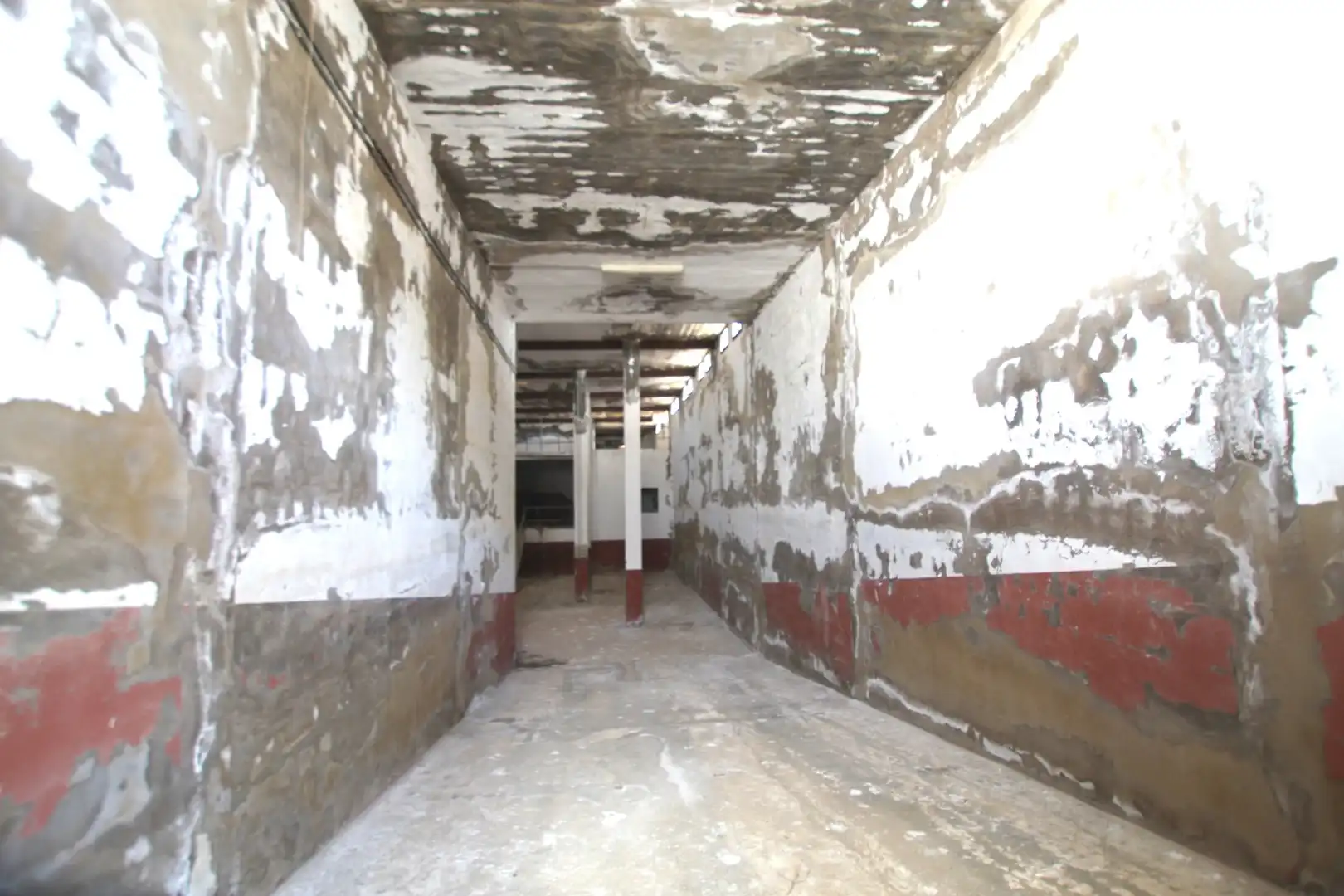 Maison rustique à vendre à Jumilla, imagen 12