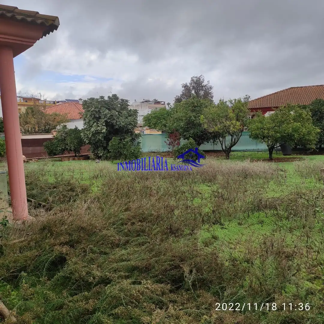 Villa con piscina in vendita a Periurbano Este - Campiña, imagen 13