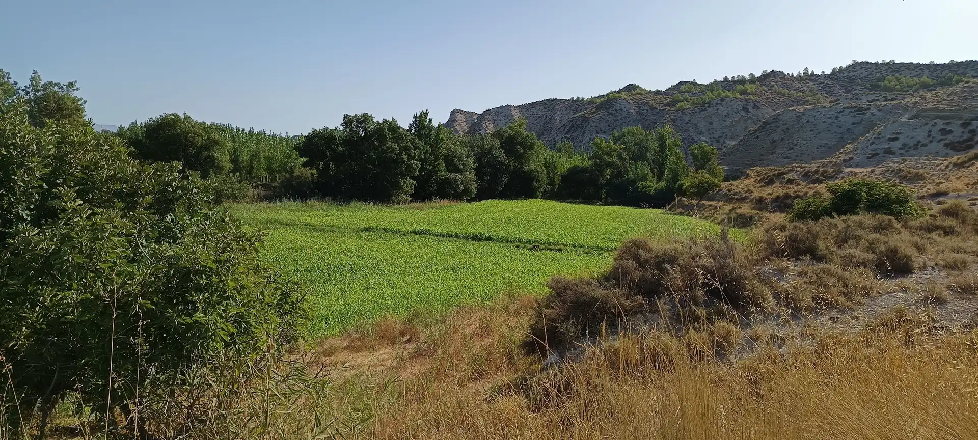 Country house for sale in Polígono B BAJO, imagen 13