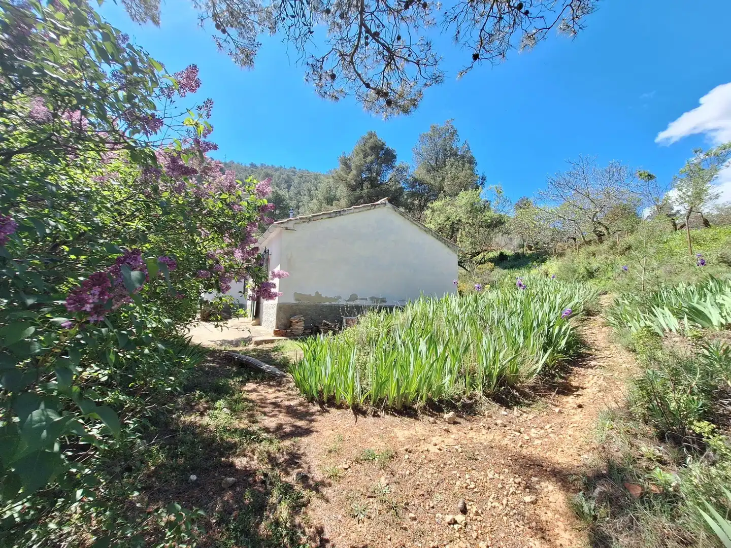 Jardí de Finca rústica en venda en Alcoy / Alcoi amb Traster i Moblat
