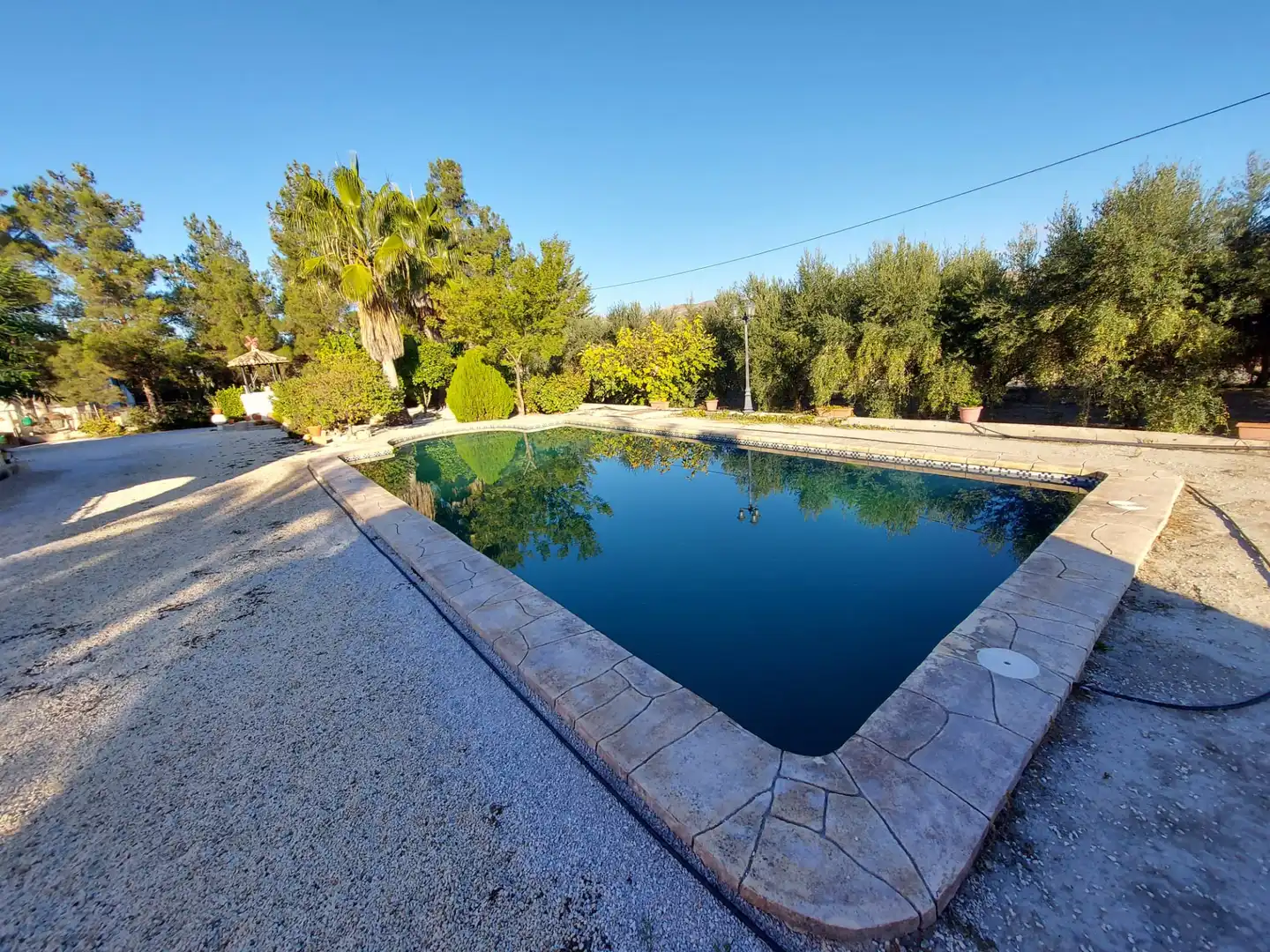 Piscina de Finca rústica en venta en Calasparra con Jardín privado y Piscina