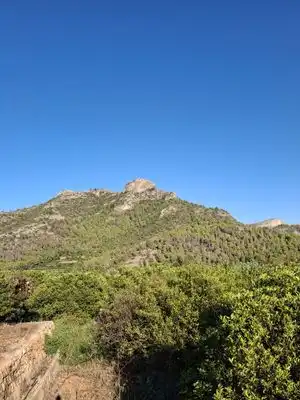 Terrain rustique à vendre à Terrenos MARXUQUERA  ALTA, imagen 29