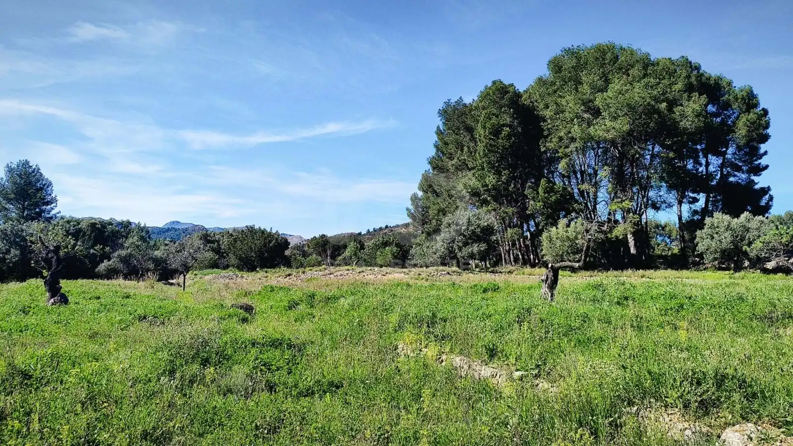 Residential for sale in Murla