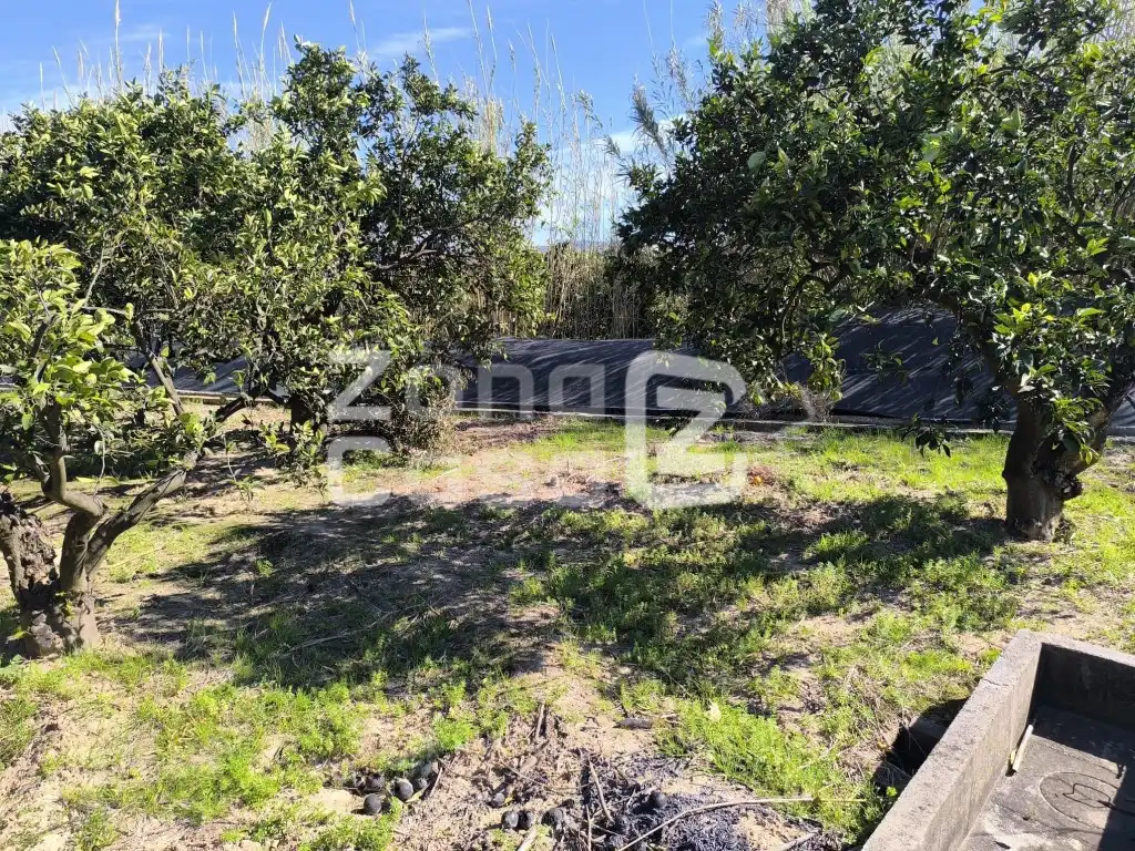 Country house for sale in Partida Barqueta La, imagen 7