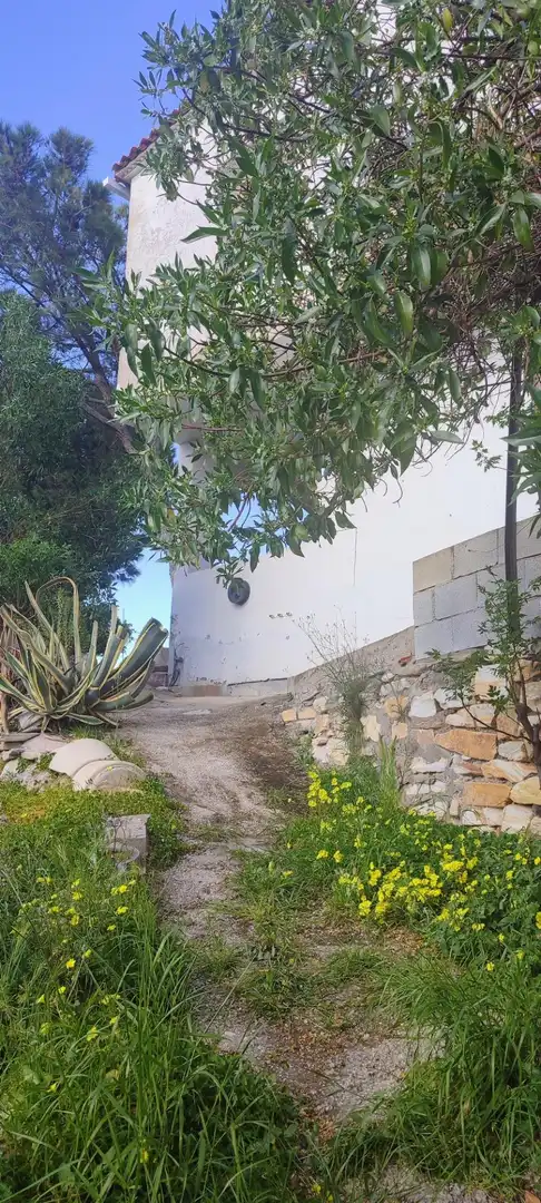 Vista exterior de Casa o chalet en venta en Fines