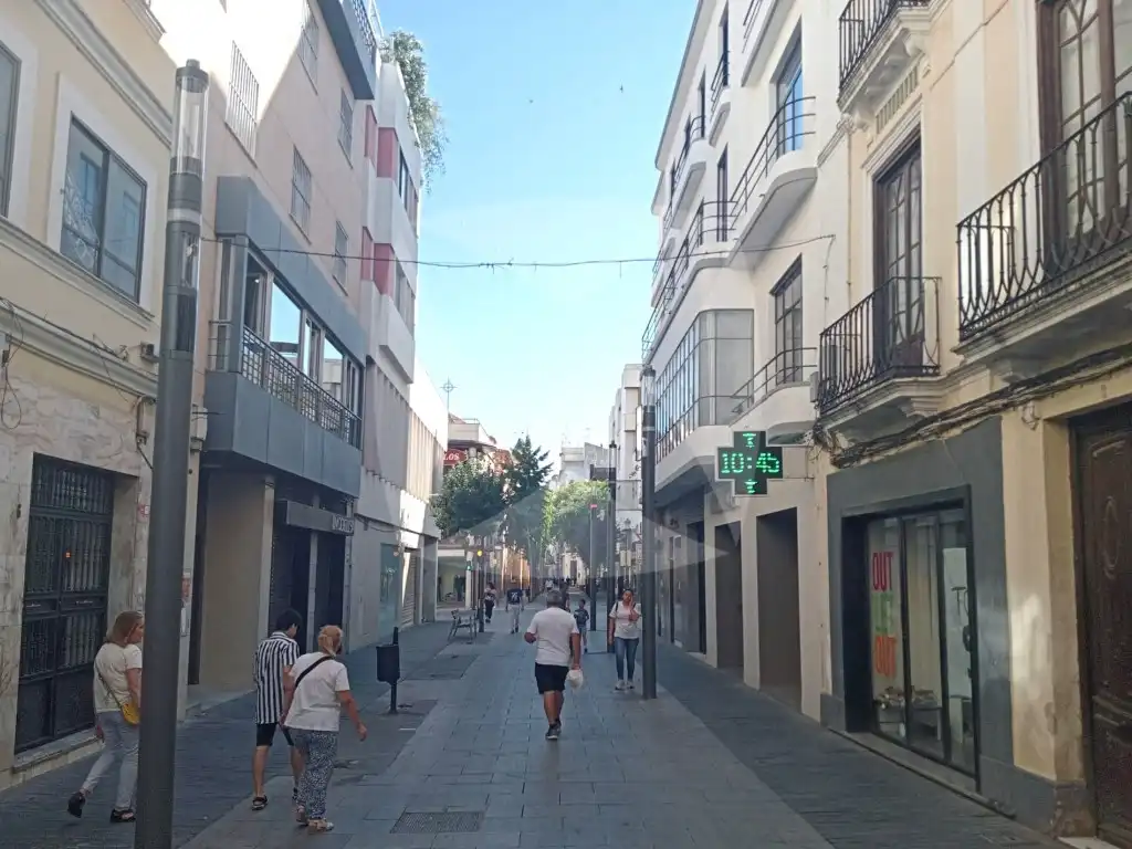 Gewerbefläche zur Miete in Calle Menacho, imagen 4