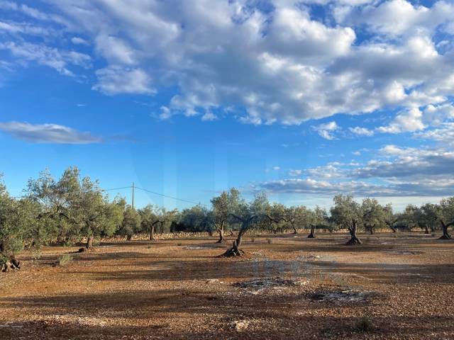 Finca rústica en Venta en L'Ampolla