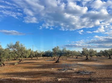 Country house for sale in L'Ampolla