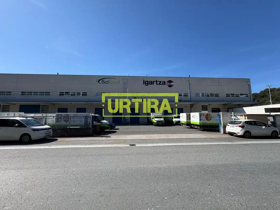 Nau industrial de lloguer a Arañaburu Kalea 6, imagen 40