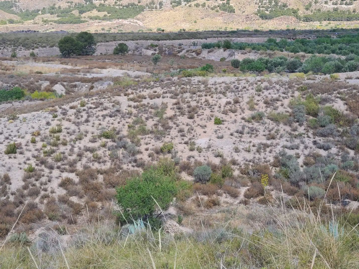 Terrains et parcelles à vendre à Pedanías Centro, imagen 9