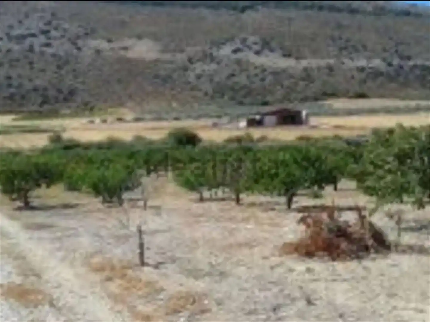 Land for sale in Alfarnate