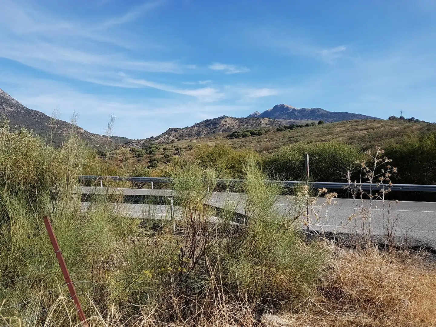 Terreny rústic en venda a Zahara, imagen 3