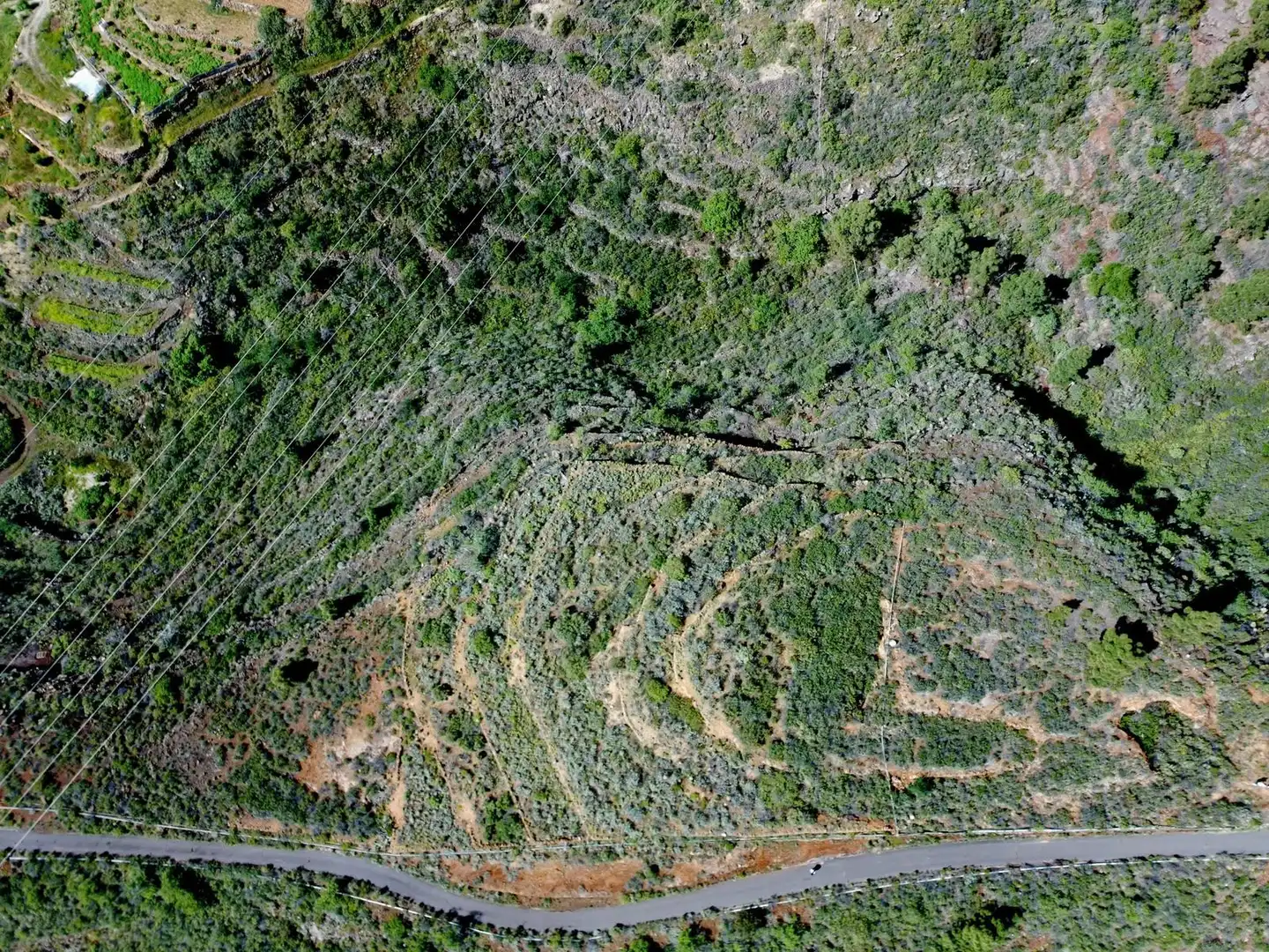 Rural land for sale in El Escobonal - Pájara, imagen 4