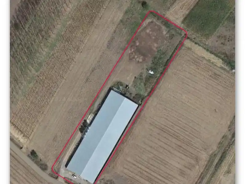 Premises for sale in Turcia