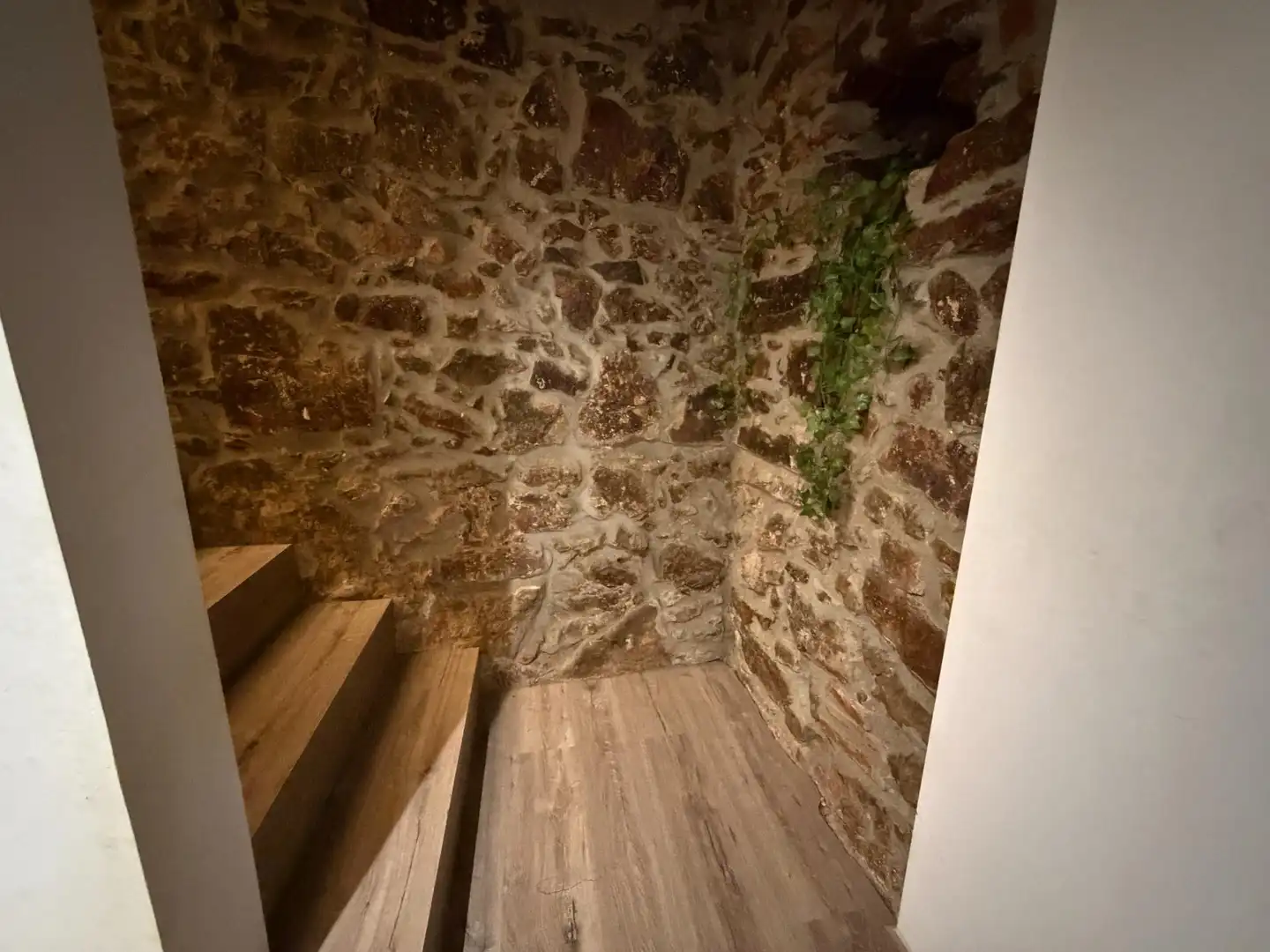 Maison mitoyenne avec jardin à vendre à El Racó - Sant Feliu del Racó, imagen 28