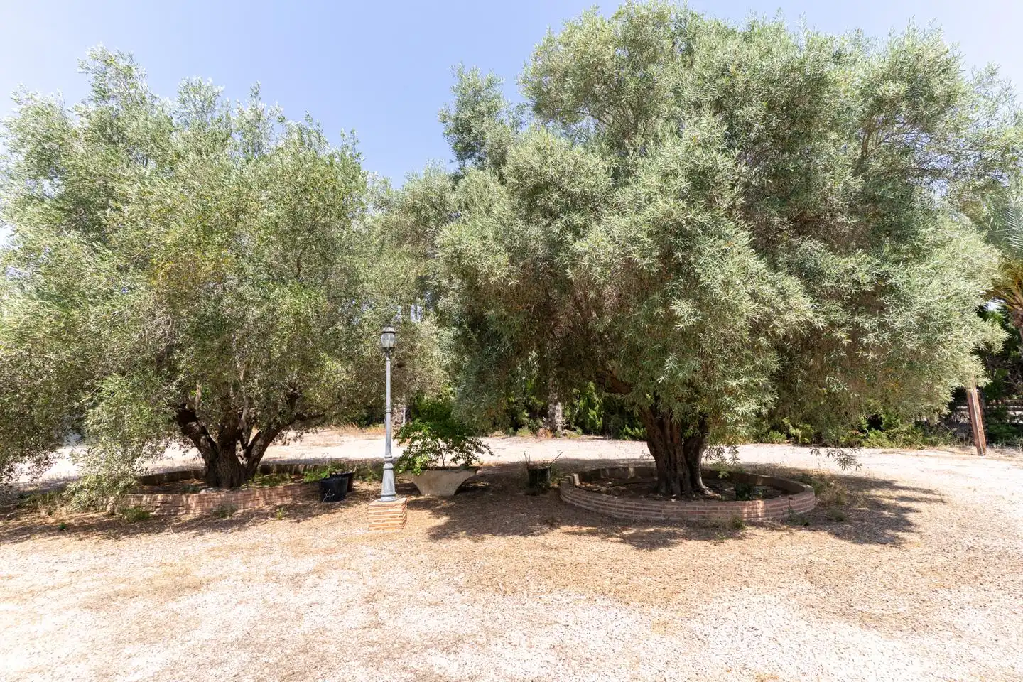 Casa o xalet en venda en Elche / Elx amb Calefacció, Terrassa i Traster