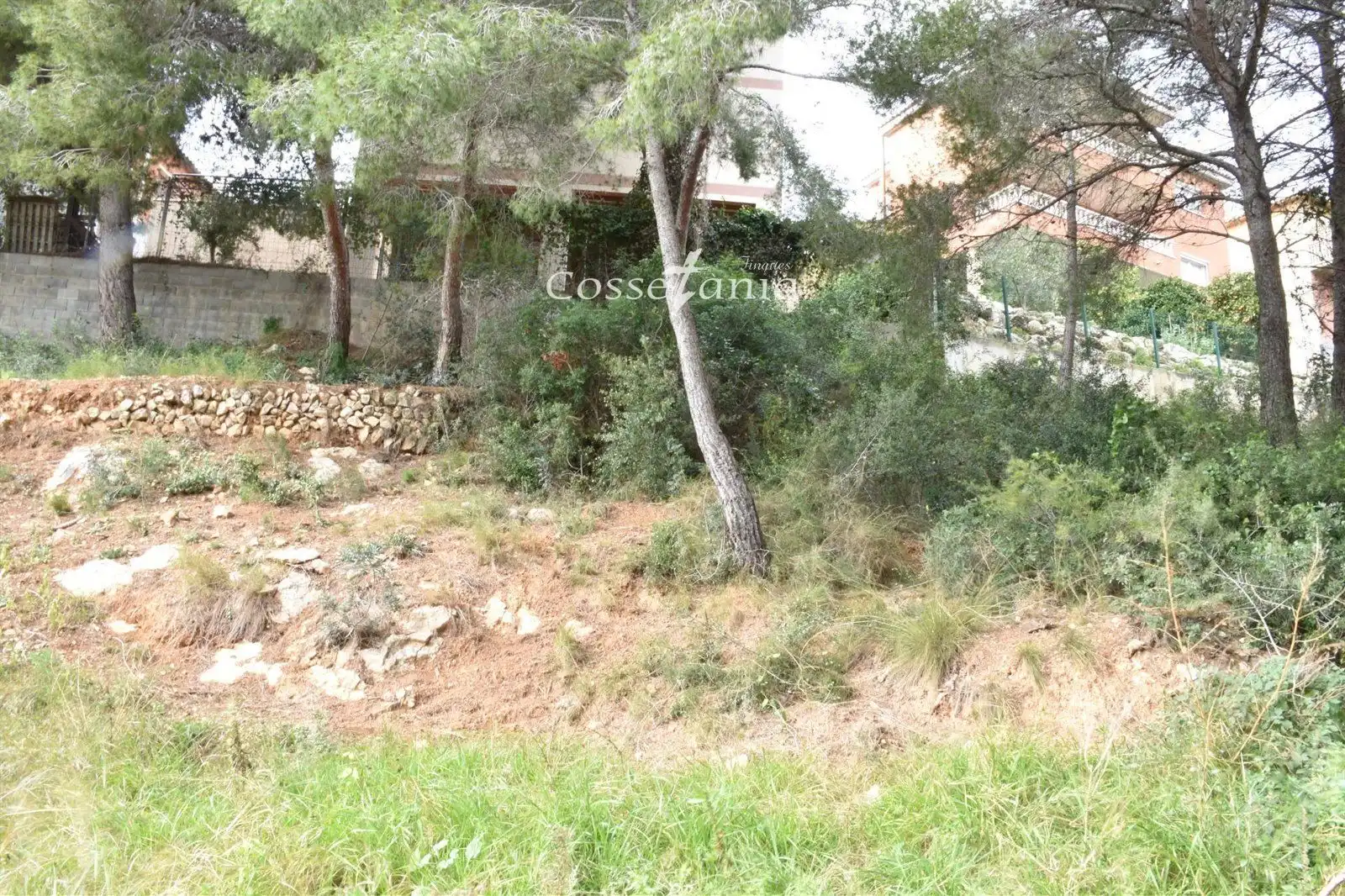 Rural land for sale in GLADIOL, imagen 8