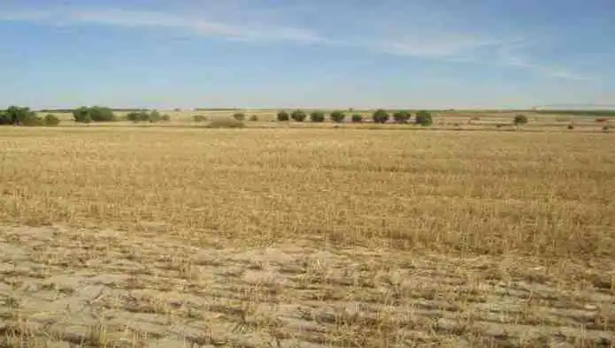Terreno en venta en La Zarza (Valladolid)