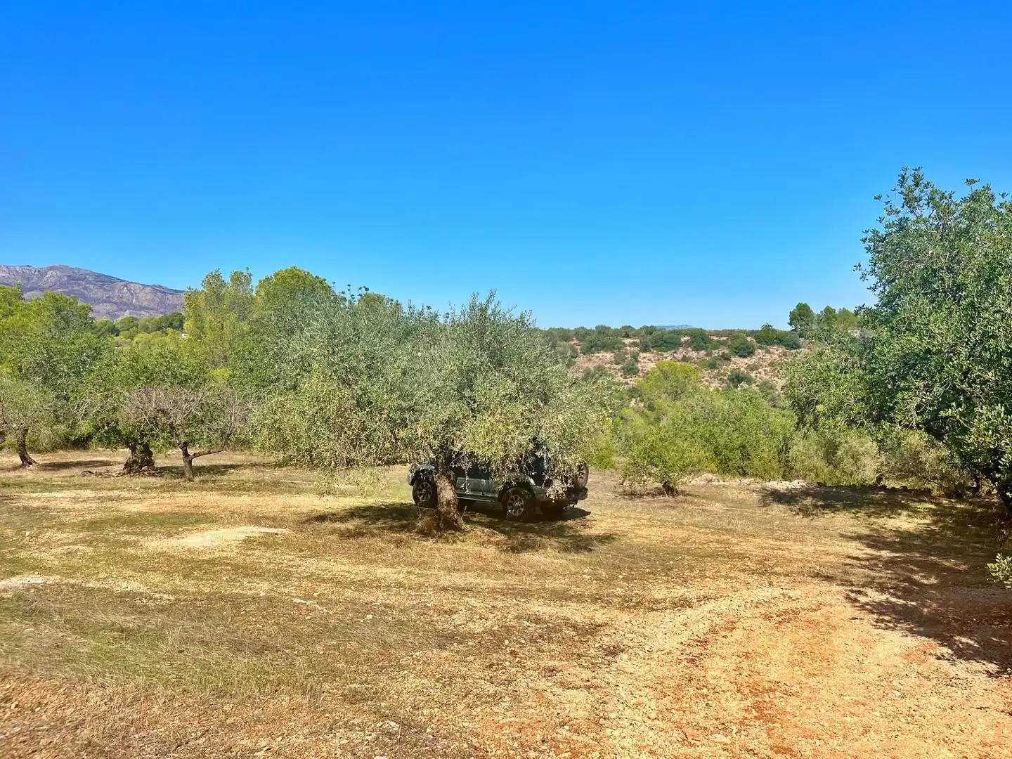 Houses for sale in Aldover
