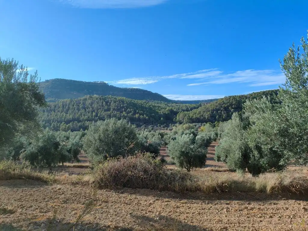 Country homes for sale in Fuentespalda