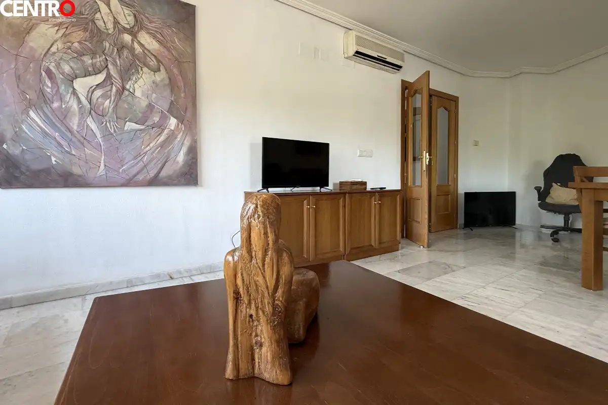 Sala de estar de Piso en venta en Granada con Aire acondicionado, Calefacción y Jardín privado