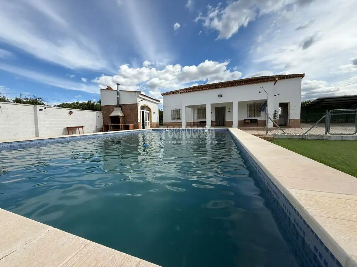 Swimming pool of Country homes for sale in Arahal  with Air Conditioner